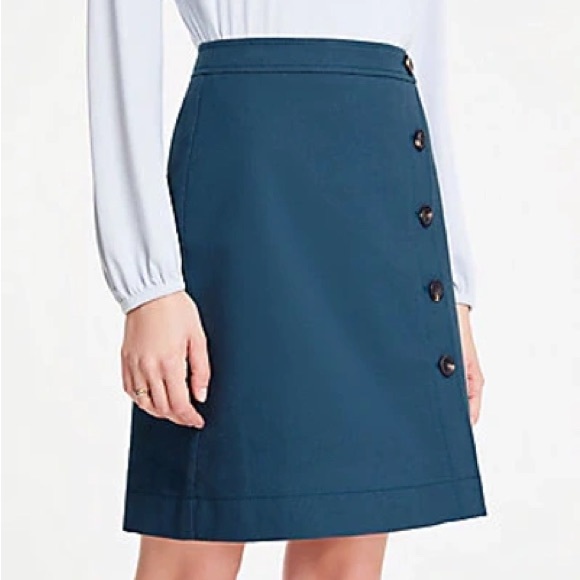 Ann Taylor Dresses & Skirts - ANN TAYLOR NWT Textured Buttoned A-Line Skirt Womens Size 8